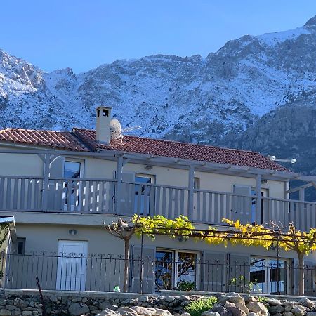 Casa Basgiu, Chambres Avec Balcon Et Table D'Hotes Zilia Buitenkant foto
