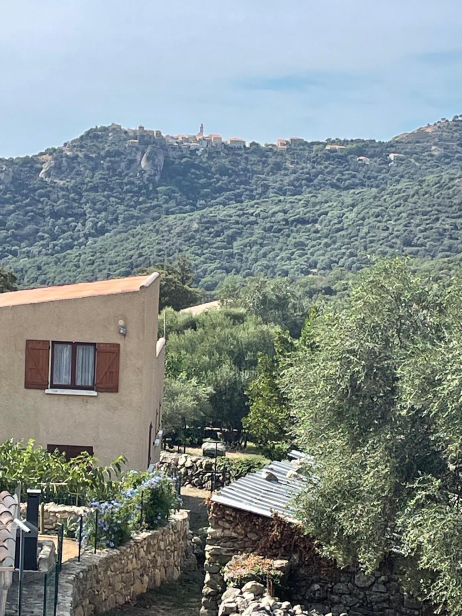 Casa Basgiu, Chambres Avec Balcon Et Table D'Hotes Zilia Buitenkant foto