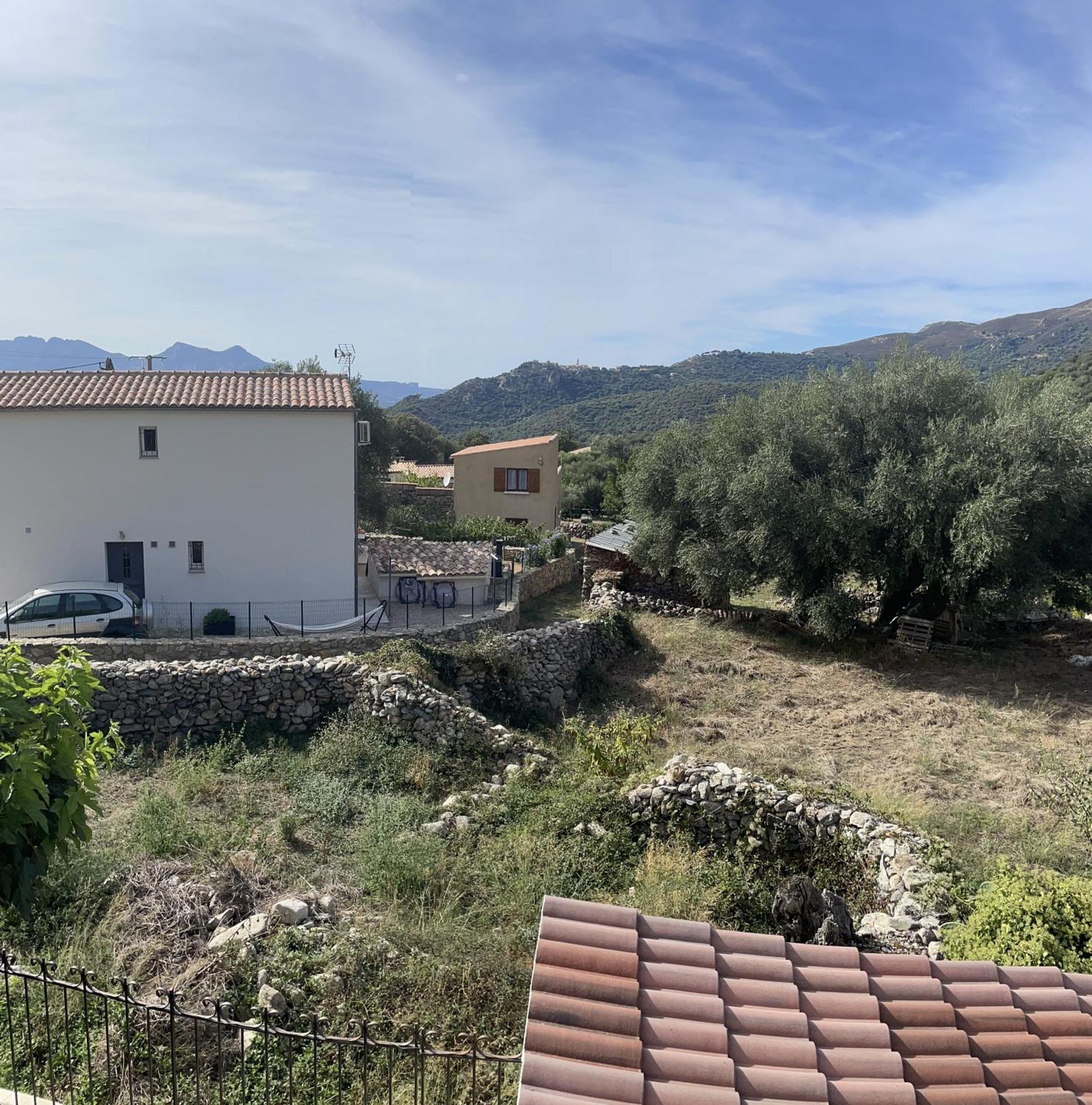 Casa Basgiu, Chambres Avec Balcon Et Table D'Hotes Zilia Buitenkant foto